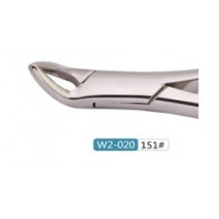 Woodpecker Extracting Forcep 151 (adult)
